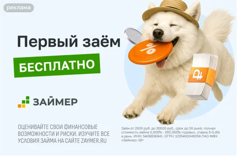 Займер